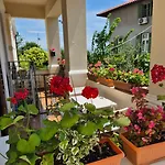 Tina Apartment